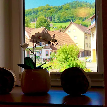 Апартаменты Ferien Im Schwarzwald Dorlinbach