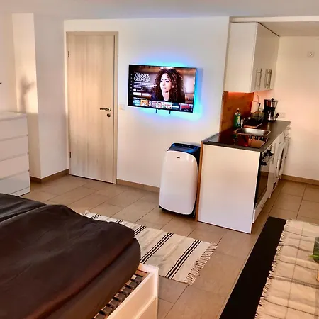 Ferien Im Schwarzwald Appartement Dorlinbach