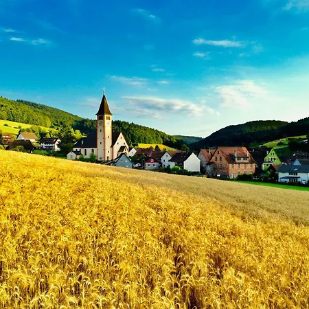 Ferien Im Schwarzwald Appartement